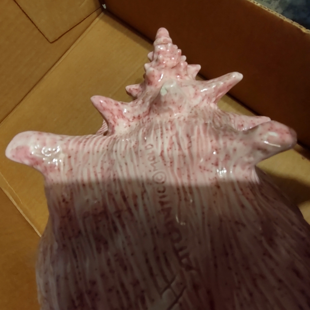 Firm Final price!*Pottery conch - Picture 8 of 8